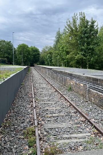 Mahnmal Gleis 17: Gleise, die in der Ferne zwischen Bäumen verschwinden. 