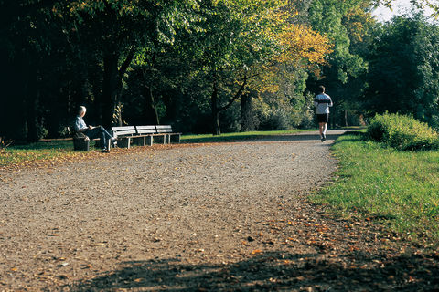 Ein Jogger läuft im Waldpark. Eine Person sitzt auf einer Bank.