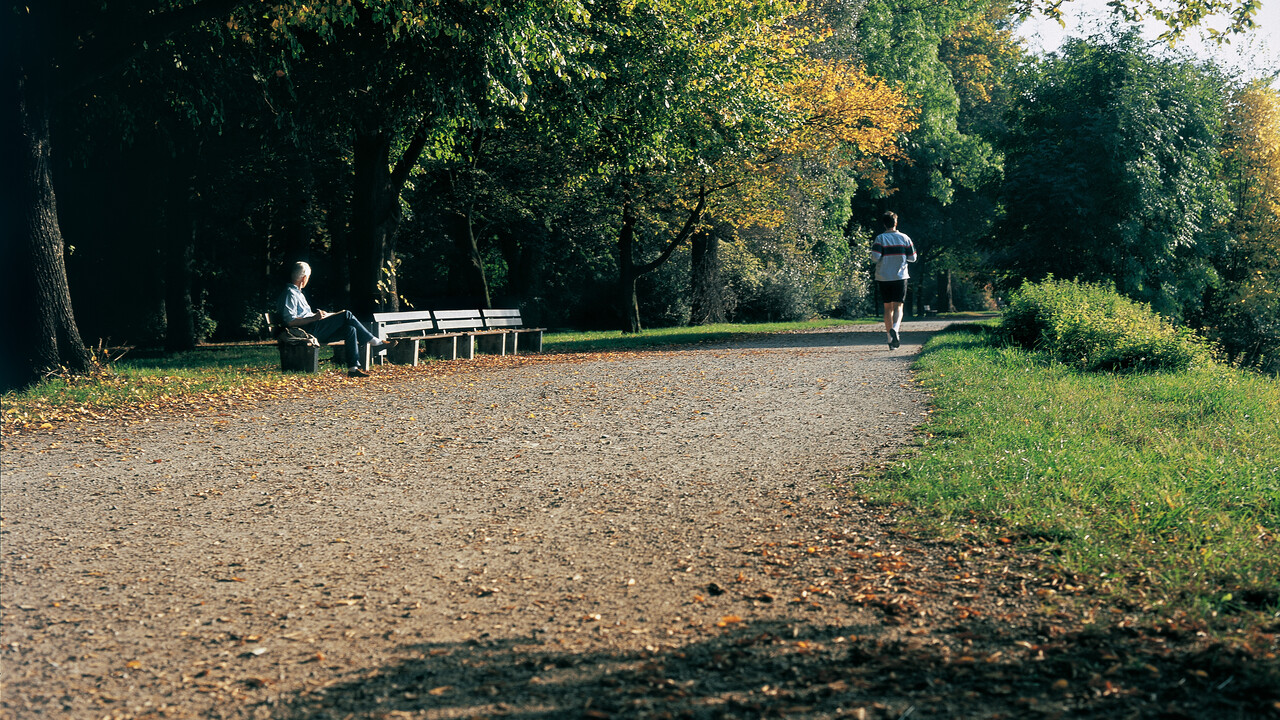 Ein Jogger läuft im Waldpark. Eine Person sitzt auf einer Bank.