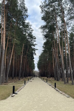 Der Gedenkweg in der Gedenkstätte des Vernichtungslagers Sobibor: Ein langer, aus hellem Sand bestehender Weg zieht sich gerade in die Ferne, links und rechts daneben hohe Bäume. Zu beiden Seiten des Weges liegen Gedenksteine mit Namen von Deportierten. 