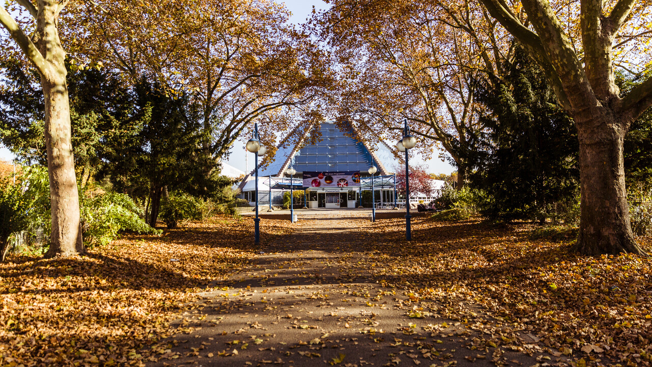 Das Planetarium in Mannheim. Auf dem Boden liegt Herbstlaub.