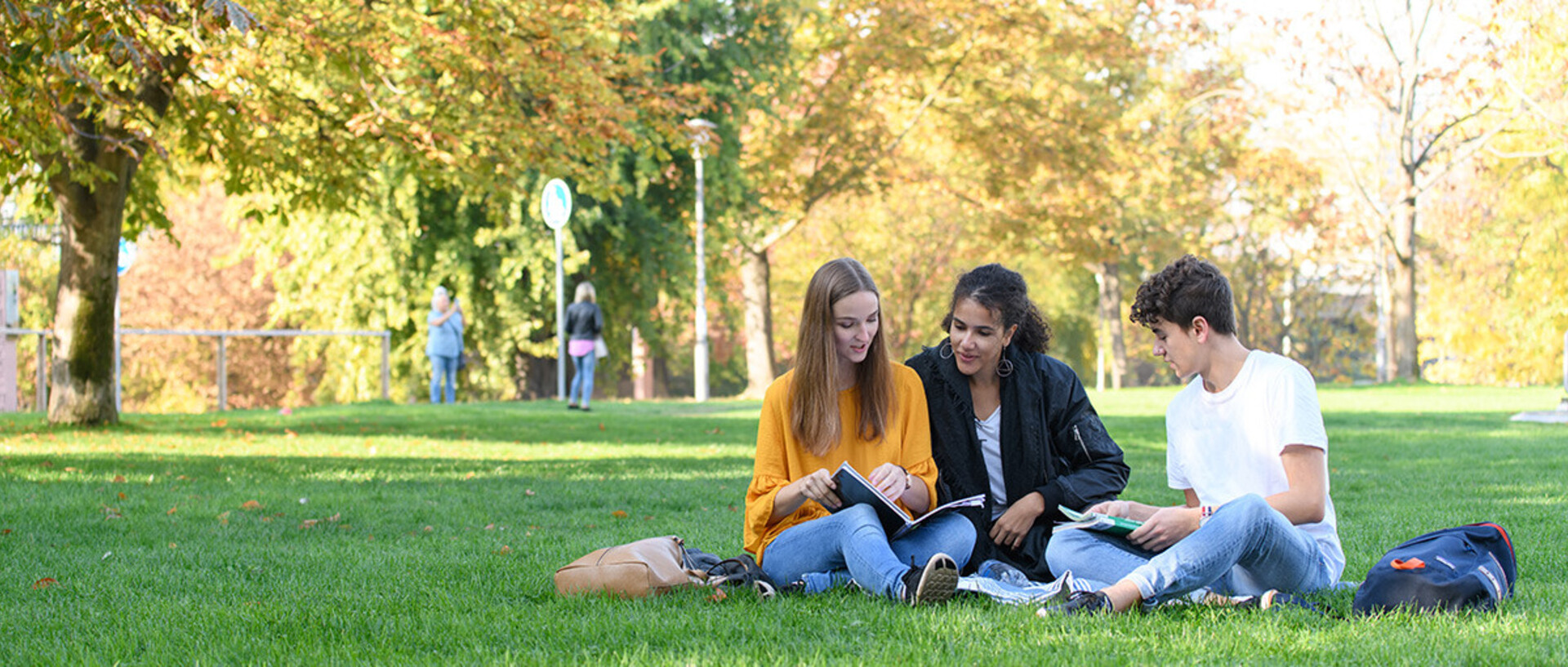 Drei Studierende sitzen auf einer Wiese.
