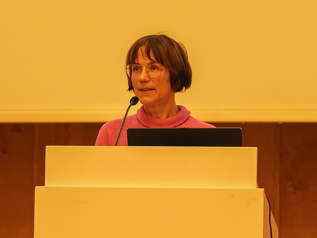 Grußwort von Prorektorin Prof. Dr. Annette Kehnel Prorektorin Prof. Dr. Annette Kehnel am Rednerpult