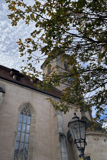 Teilansicht einer Kirche von Norden mit großem gotischen Fenster und Turm