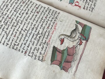 Bildausschnitt von einer Seite einer spätmittelalterlichen Handschrift mit Text und einer kolorierten Federzeichnung einer Ente.