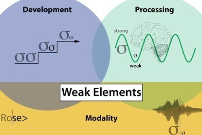Beschreibung weak elements in phonology 