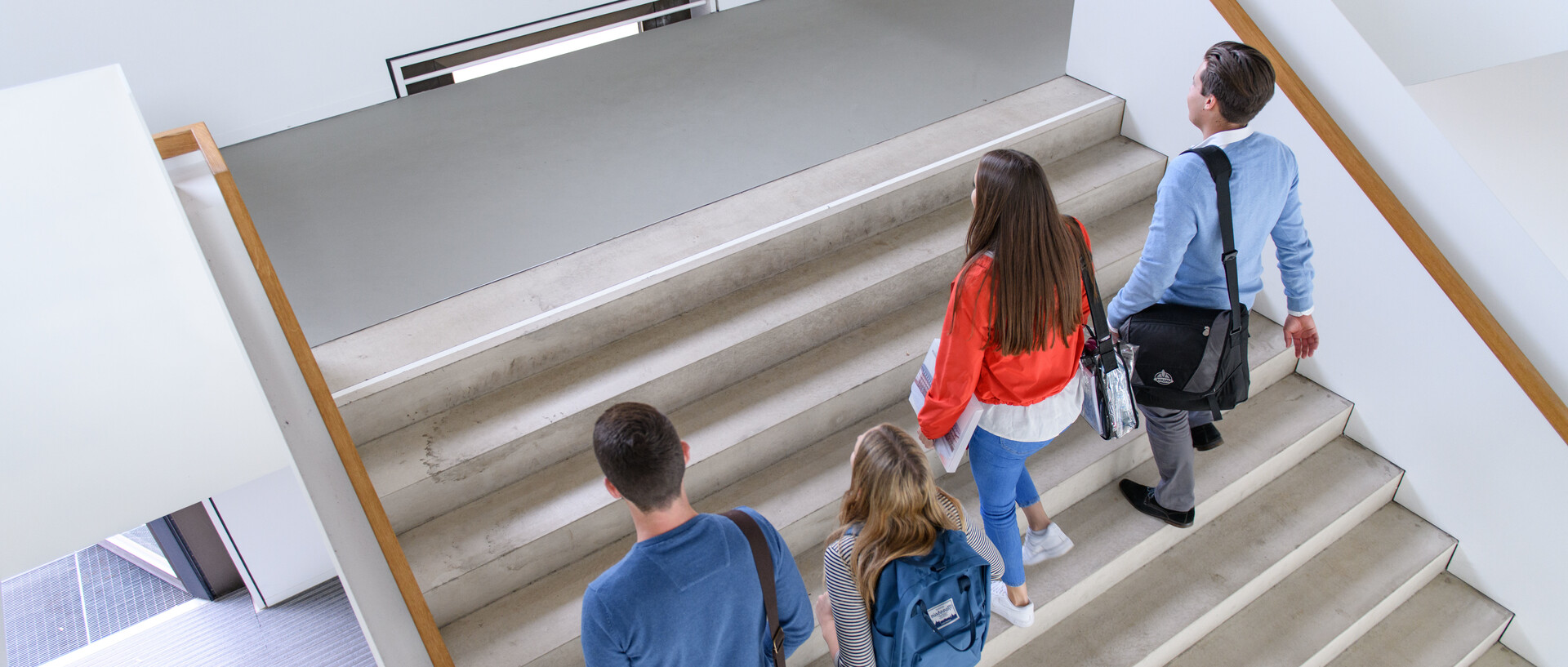 Vier Studierende gehen eine Treppe hoch.