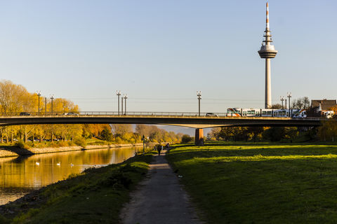 Der Fernmeldeturm in Mannheim. Daneben fließt der Neckar.