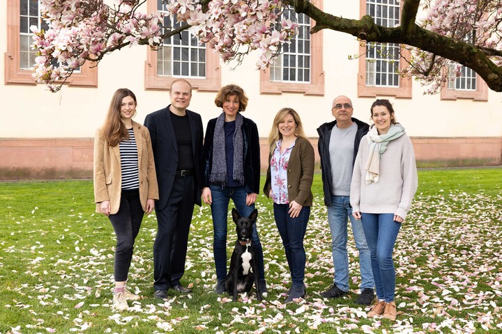 Teamfoto