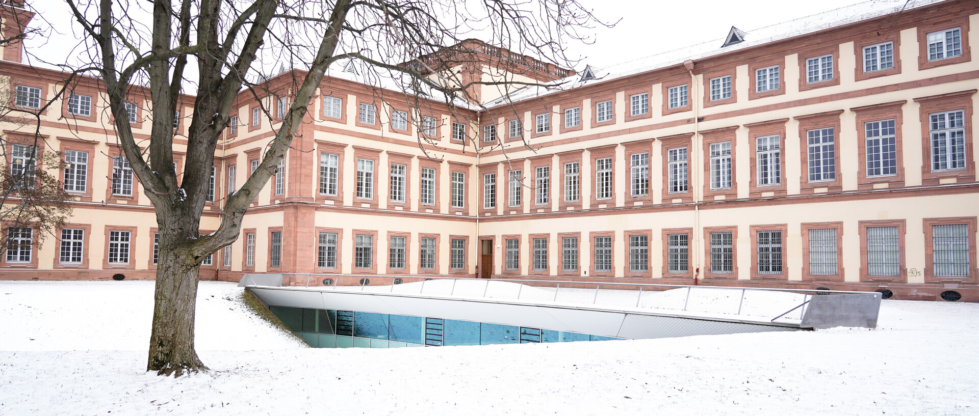 The Mannheim Palace and a tree in the snow.