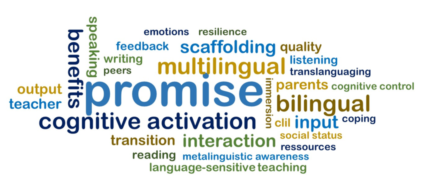 PROMISE Logo