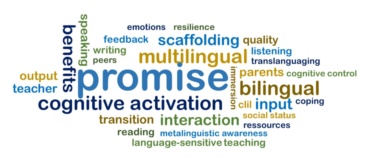 PROMISE Logo