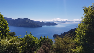 Bild von Neuseeland